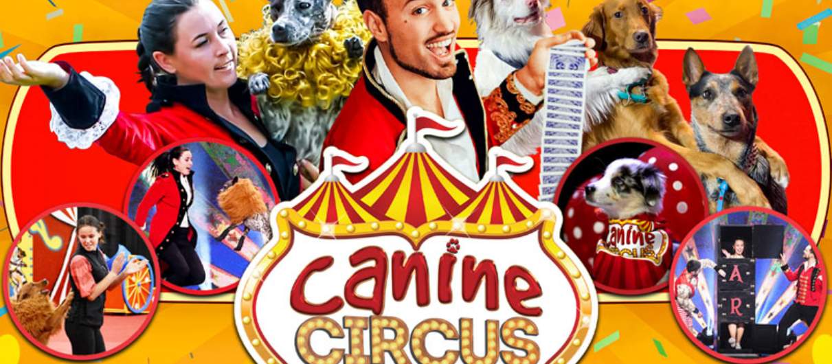 The Canine Circus